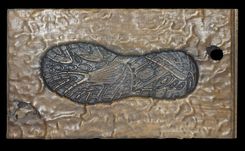 Footprint In Walnut Board Wall Art 1 small