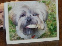 People And Pet Portrait Illustrations 6 small