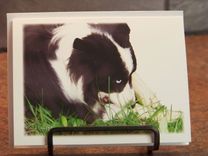 People And Pet Portrait Illustrations 3 small