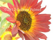Art Prints 3 small