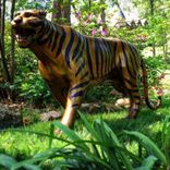 Bengal-Tiger-Bronze-Sculpture 2 small