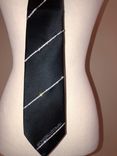 Crystallized Men's Tie Striped Bling Genuine European Crystals Any Color 3 small