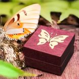 Inlaid Engagement Ring Box With Butterfly. Rb-13. Free Shipping And Engraving. 1 small