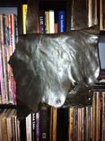 Leather Shoulder Bag 6 small