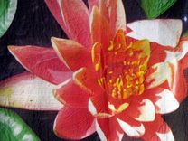 Photo Image Quilts 2 small