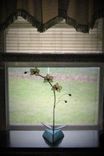 Orchid-Kaliedoscope-In Ever-Blooming 3d Iridescent Ecru Stained Glass 6 small