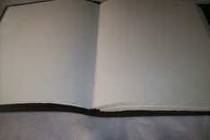 Custom Leather Photo Album/Scrapbook 4 small
