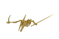 Large Pteranodon Puzzle 1 small