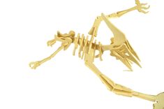 Small Pteranodon 1 small
