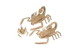 Medium Scorpion Puzzle Kit 2 small