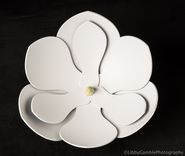 Magnolia Bowl 3 small
