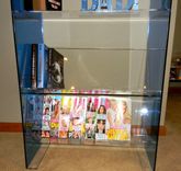 Lucite-Acrylic Book Case, Magazine Rack. Display Shelf 5 small