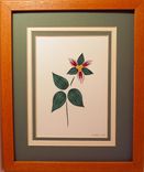 Wildflowers - Pink Lady's Slipper Quilled Framed Wall Art New Hampshire Wildflowers 5 small