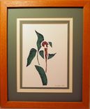 Wildflowers - Pink Lady's Slipper Quilled Framed Wall Art New Hampshire Wildflowers 4 small