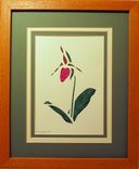 Wildflowers - Pink Lady's Slipper Quilled Framed Wall Art New Hampshire Wildflowers 1 small