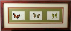 Quilled Triple Miniatures Wall Art Framed 3 small