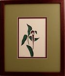 Wildflowers - Pink Lady's Slipper Quilled Framed Wall Art New Hampshire Wildflowers 6 small