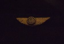 Various Steampunk Medals And Wings 1 small