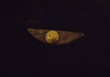Various Steampunk Medals And Wings 2 small