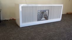 #48 Steel Zebra Art 5 small