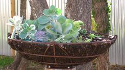 Metal Planter 1 small