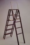 Lib's Library Ladder 1 small