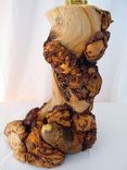 Unique Wooden Rustic Burl Pine Log Table Lamp Handcrafted Natural Wood Furniture Country Home Decor 4 small