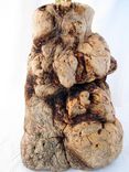 Burled Pine Wood Rustic Wooden Lamp - Handmade Rustic Wooden Lamp 2 small
