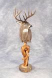 Custom Juniper Taxidermy Pedestal Whitetail Shoulder Mount 1 small
