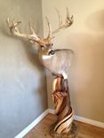 Twisted Juniper Shoulder Mount Taxidermy Pedestal 1 small