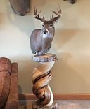 Shoulder Mount Taxidermy Pedestal Solid Twisted Juniper Wood 1 small