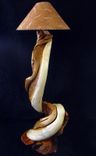 Lodge Style Rustic Log Juniper Floor Lamp 1 small