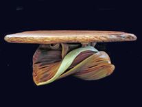 Natural Edge Redwood Slab Juniper Log Furniture Coffee Table 2 small