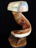 Western Saddle Display Stand, Made From Solid Twisted Juniper Wood And Blue Pine 4 small