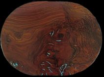 Claro Walnut Coffee Table, With Turquoise Inlay On A Twisted Juniper Base 4 small