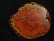 Twisted Juniper Taxidermy Pedestal W/Turquoise Inlay 5 small