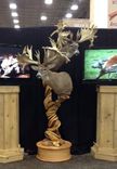 Double Head Juniper Taxidermy Display Pedestal 1 small