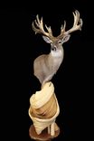 Twisted Juniper Display Pedestal For Taxidermy 6 small