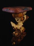 A Matter Of Honor, Art Sculpture Pedestal Table 3 small