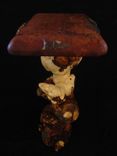 A Matter Of Honor, Art Sculpture Pedestal Table 4 small