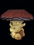 Curly Redwood Slab Tables 12 small
