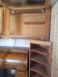 Large Animal Cabinet / Pet Home 5 small