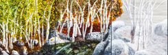 "Mountain Trees" 2 small