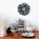Farmhouse Flower Plaques Black And White Set Of 2 5 small