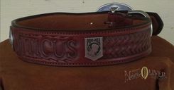 Atticus's Collar 1 small