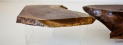 Walnut And Acrylic Interchangeable Low Tables 4 small