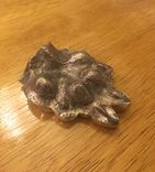 Your Pet Paw Print 3 small