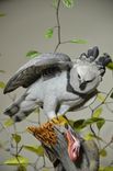 Harpy Eagles 2 small