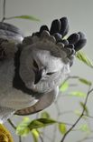 Harpy Eagles 4 small