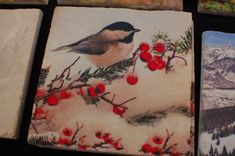 Tumbled Stone Trivets 1 small